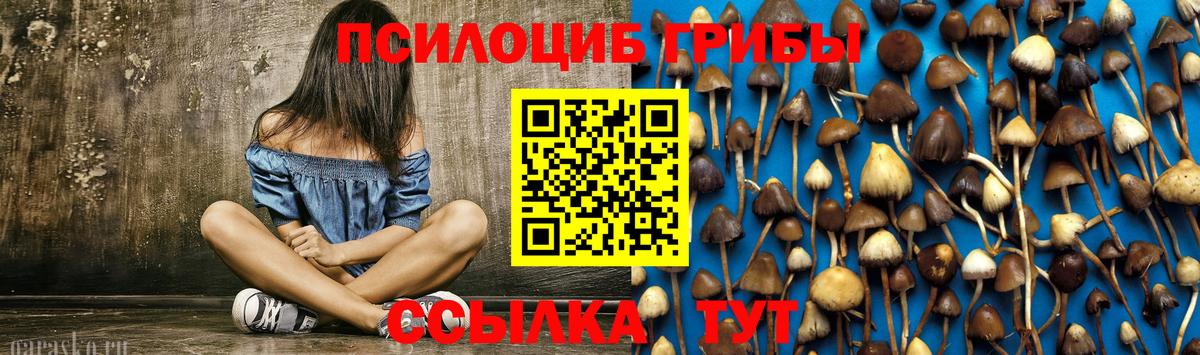 Партизанск  Псилоцибиновые грибы Cubensis  Вход с VPN 